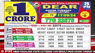 Dear Goose Tuesday Weekly Lottery 8pm Date Of Draw 17092024 [upl. by Dorree]