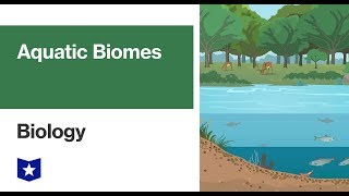 Aquatic Biomes  Biology [upl. by Yderf]