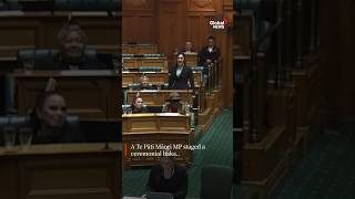 New Zealand MPs Disrupt ParliamentStage Haka protest of ControversialIndigenous Billka mate kamate [upl. by Nerrak341]