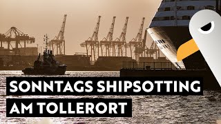 Sonntags Shipspotting am Tollerort ⚓️ Hamburg Hafen Live [upl. by Monahan]