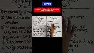 difference between prokaryotic and eukaryotic cells biology cell shorts neet2025 ncert viral [upl. by Seldan]