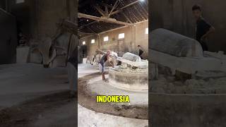 How Traditional Noodles Are Made with a Cow in Yogyakarta [upl. by Spatola]