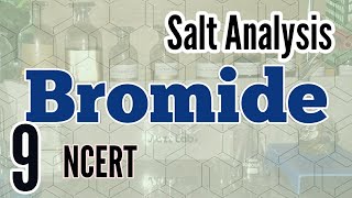 Identification of Bromide  Salt Analysis series NCERT [upl. by Zarihs]