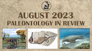 August 2023 Paleontology Month in Review [upl. by Idid987]