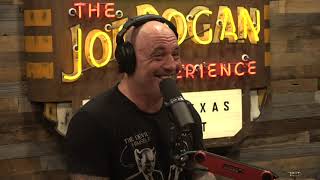 Joe Rogan Experience 1707  Kyle Dunnigan amp Kurt Metzger [upl. by Linsk]