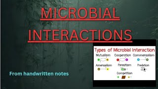 MICROBIALINTERACTION microbial microbialgenetics microorganism [upl. by Srevart]