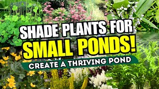 How to Make a Wildlife Barrel Pond [upl. by Shimkus992]