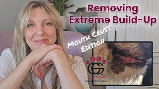 Removing Extreme Buildup Mouth Crust Edition WALKTHROUGH [upl. by Ainatnas691]