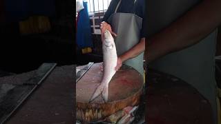 Salmon fish cutting skill [upl. by Nitsed]