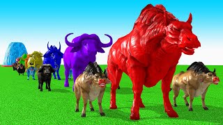 Paint Animals Cow CartoonBuffaloBullyakOxFountain Crossing Animal Game [upl. by Kcirdek]