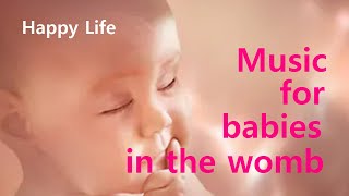 Music for the fetus in the Womb Pregnancy music for the stability of the baby and mothers Health [upl. by Canning]