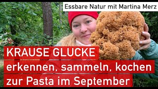 Feine Pasta mit KRAUSE GLUCKE im September – finden amp zubereiten [upl. by Odraode]