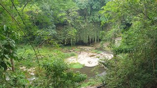 cachoeira do morro do banco itanhangá [upl. by Ayotel]