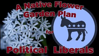 A Native Flower Garden Plan for Political Liberals Democrats [upl. by Esoryram160]