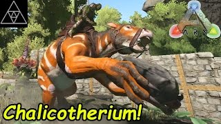 Chalicotherium zähmen FelsenWeitwurf Lanzenreiten in ARK Raptor Tjosten [upl. by Sheree44]