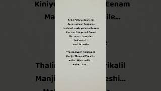 Arikil Pathiye Idanenjil🌸 Lyrics trendingsongs lovesong viral shorts arikilpathiyelyrics [upl. by Schnurr215]