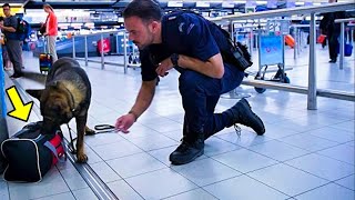 Cane corre improvvisamente verso una valigia La polizia aeroportuale la apre e inizia a piangere [upl. by Ataynek]