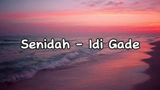 Senidah  Idi Gade Lyrics tekst [upl. by Elleinnod761]