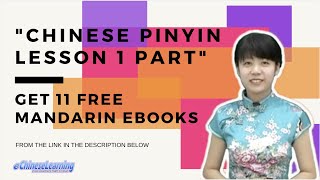 Chinese Pinyin lesson 1 part 1 [upl. by Eenoj]