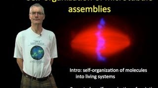 Tim Mitchison Harvard Part 1 Selforganization of microtubule assemblies [upl. by Aramak44]