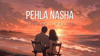 Pehla Nasha Slowed  Reverb  Udit Narayan  Lofi  Lofi Munda [upl. by Milo935]