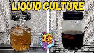 North Spore Liquid Culture Kit 90 Day Update [upl. by Ajnot]