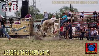 JUSTICIA DIVINA CON CHINO BARAJAS EN SAN ISIDRO COLORADO GUANAJUATO 2019 [upl. by Ainoda]