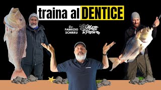 TRAINA DENTICE Tecnica Montature Consigli e Attrezzatura [upl. by Oinoitna]