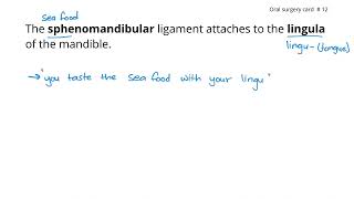 🧠 Memory Trick Sphenomandibular Ligament Attaches to the Lingula  NBDE Dental Decks Mnemonics [upl. by Biddie]