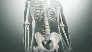 Ankylosing Spondylitis Symptoms [upl. by Alitta613]