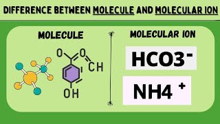 Difference between Molecule and Molecular Ion  Class 9th Fundamentals of Chemistry  Azka Chemist [upl. by Grania38]