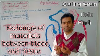 Exchange of materials between blood and tissue  Starling Forces  Biology Class 11  Dr Mushtaq [upl. by Assirehs]