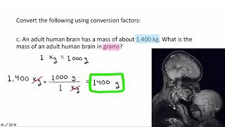 One Step Conversions [upl. by Kellby63]