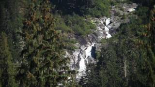 Fly Fishing for Skeena River Coho Salmon [upl. by Asiil]