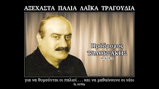 ΠΡΟΔΡΟΜΟΣ ΤΣΑΟΥΣΑΚΗΣ  Το πιτσιρικάκι [upl. by Olocin]