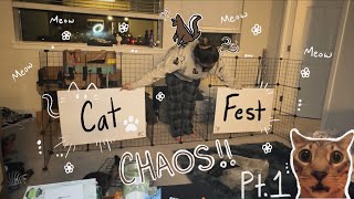 ✿ CHAOTIC Get Ready with me Vlog for CAT FEST ✿ [upl. by Osner415]