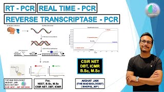 RT PCR In Hindi CSIR NET RT PCR In Hindi CSIR NET rtpcr molecularbiology lifescience bsc [upl. by Oironoh]