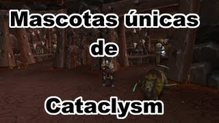 Mascotas de cazador 13 Mascotas únicas en Cataclysm [upl. by Wahl]