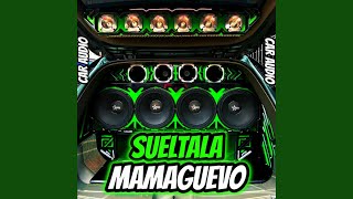 Sueltala Mamaguevo Car Audio [upl. by Ayr]