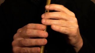 Palm Sunday Jig  Tin Whistle Tutorial [upl. by Nahshu66]