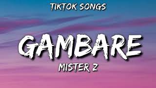 Gambare  Mister z TikTok Songs audio [upl. by Sholeen]