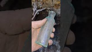 Digging A Liniment Bottle bottlecollecting bottledigging dumpdigging antiquebottles [upl. by Arymat]