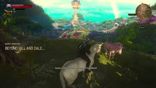 Reminds me of all together DIFFERENT 😳  The Witcher 3 Wild Hunt GOTY 2020 18th oct reupload [upl. by Marcile]