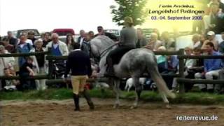 Andalusisches Pferdefest in Ratingen [upl. by Madriene]