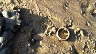 Detection de metaux sur la plage  Or  Metal detecting on beach  Gold [upl. by Akimet]