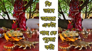 Manasa Puja celebration in our house 🙏🙏 মনসা পূজা🙏🌸 [upl. by Claudelle]