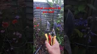 What secateurs do you use [upl. by Anirac]