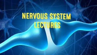 Clinical abnormalities of pain amp Other Somatic sensations Neurophysiology [upl. by Enaywd]