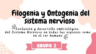 FILOGENIA Y ONTOGENIA DEL SISTEMA NERVIOSO  BASES BIOLÓGICAS DEL COMPORTAMIENTO  UCV✨ [upl. by Calabrese]