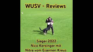 WUSV Reviews 2022 Nico Kerzinger mit Nitra vom Eisernen Kreuz [upl. by Askari]